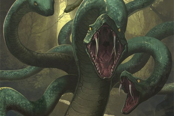 Kraken найдется все