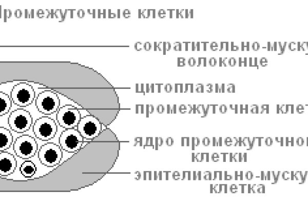 Kraken 2krn es