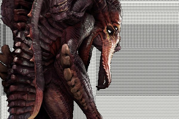 Kraken url