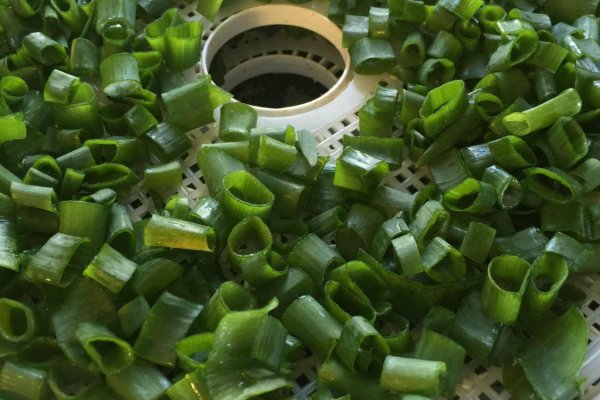 Кракен даркнет вход